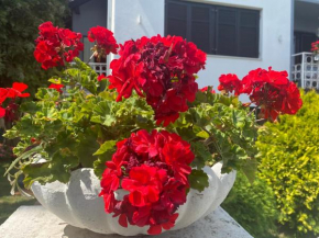 Apartman Mia